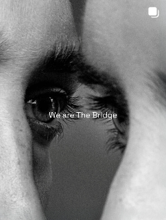 We are The Bridge